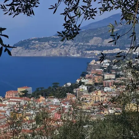 Limoneto Gargiulo Sorrento