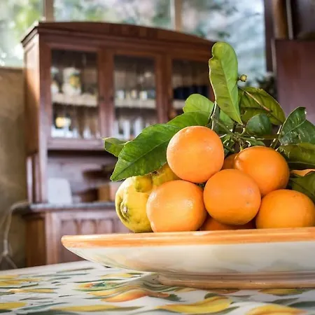 Holiday home Limoneto Gargiulo *